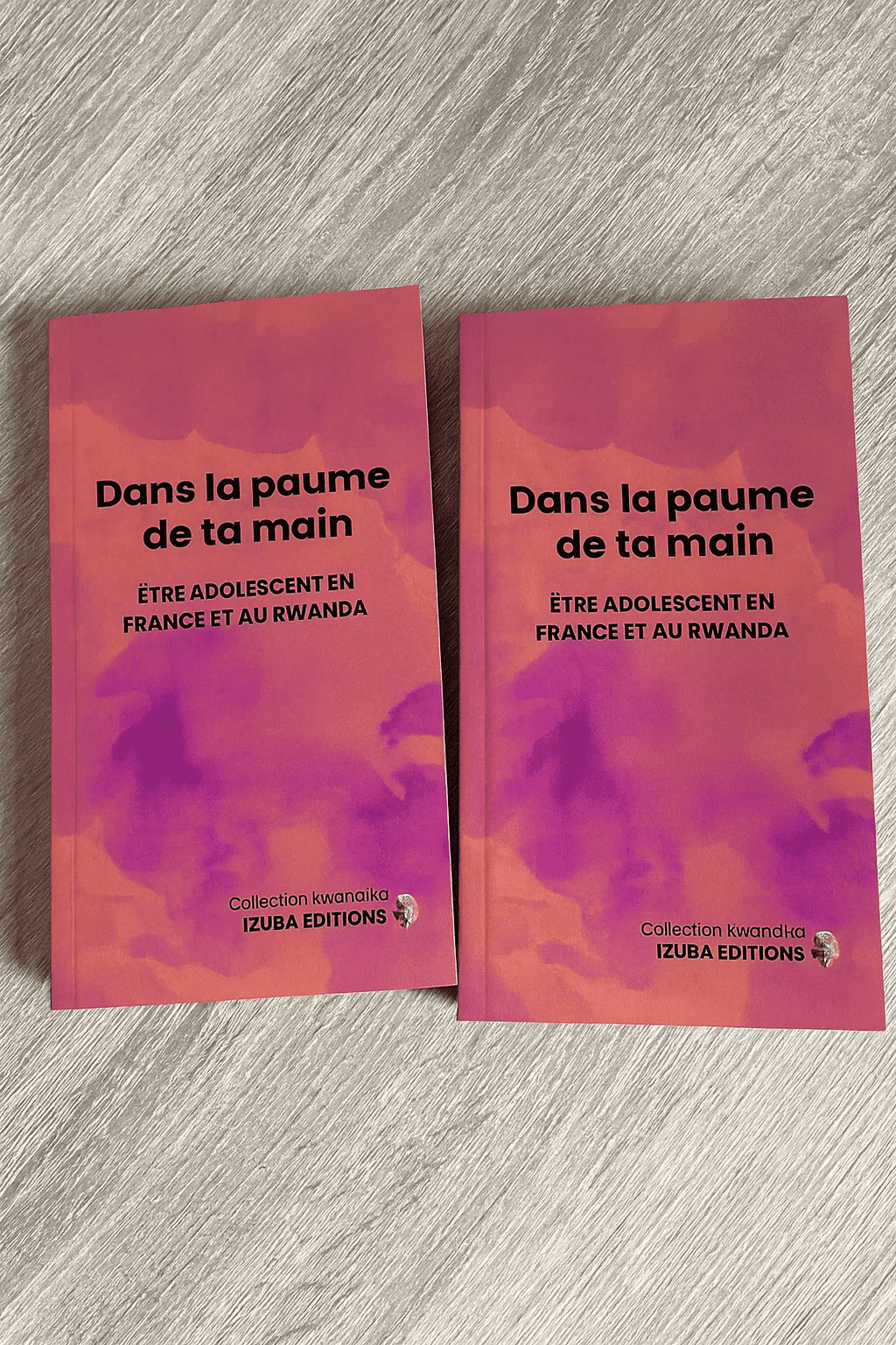 Illustration de la contrepartie '2 exemplaires du livre Dans la paume de ta main 2'